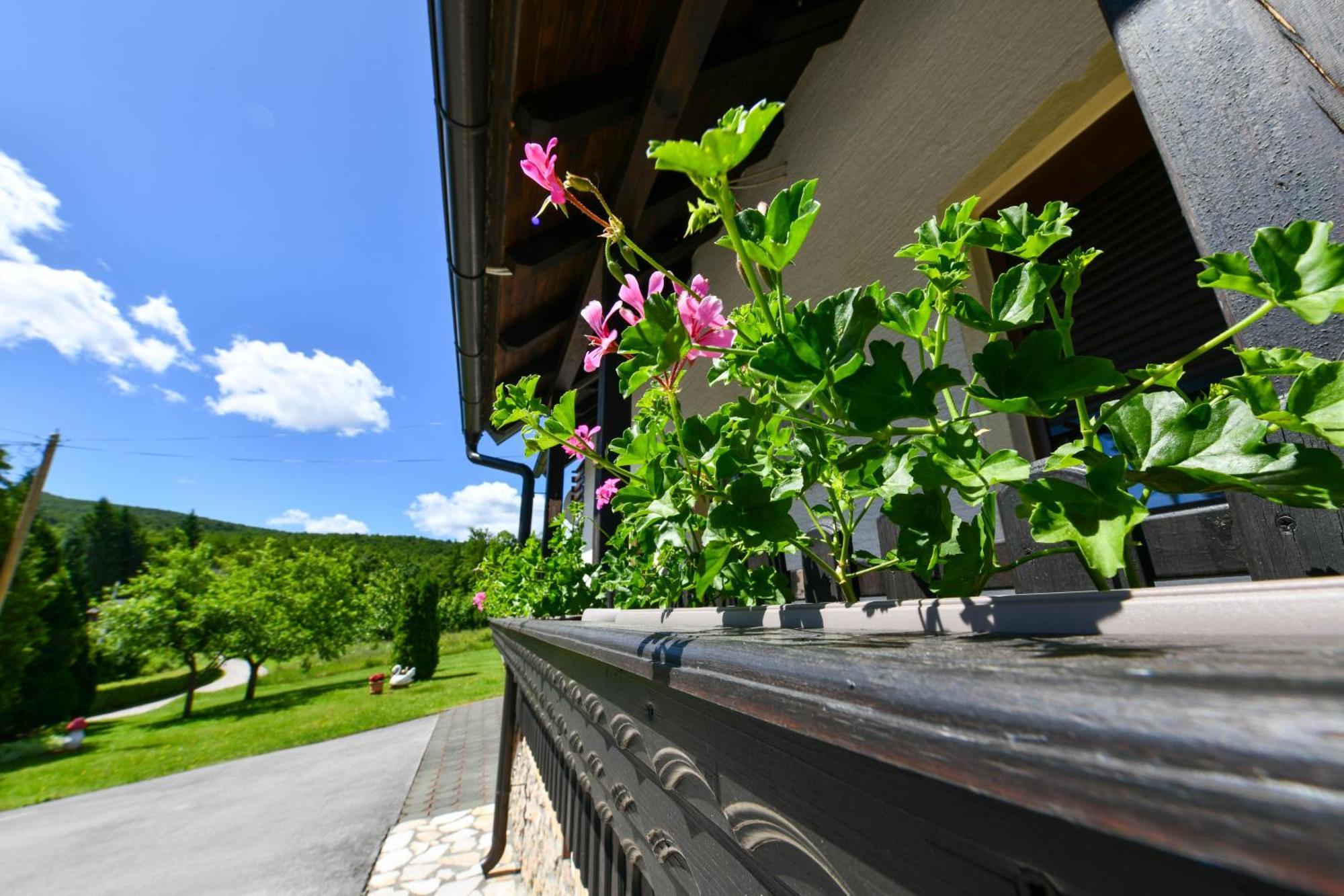 Apartment & Rooms Luketic Rastovača Εξωτερικό φωτογραφία